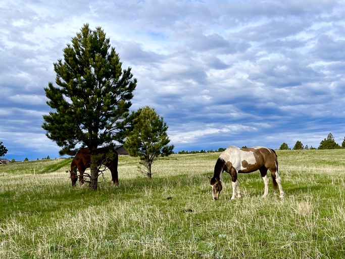 Domes (United States of America, Hermosa, South Dakota)