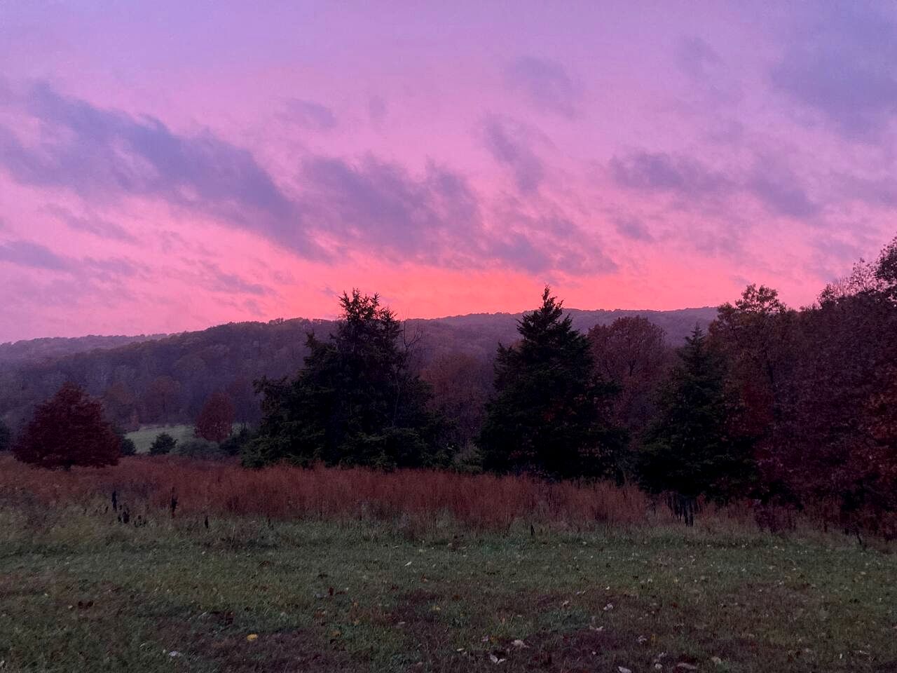 Beautiful Glamping Spot near Hartsburg, Missouri: Charming Pet-Friendly Cabin Perfect for a Family Vacation