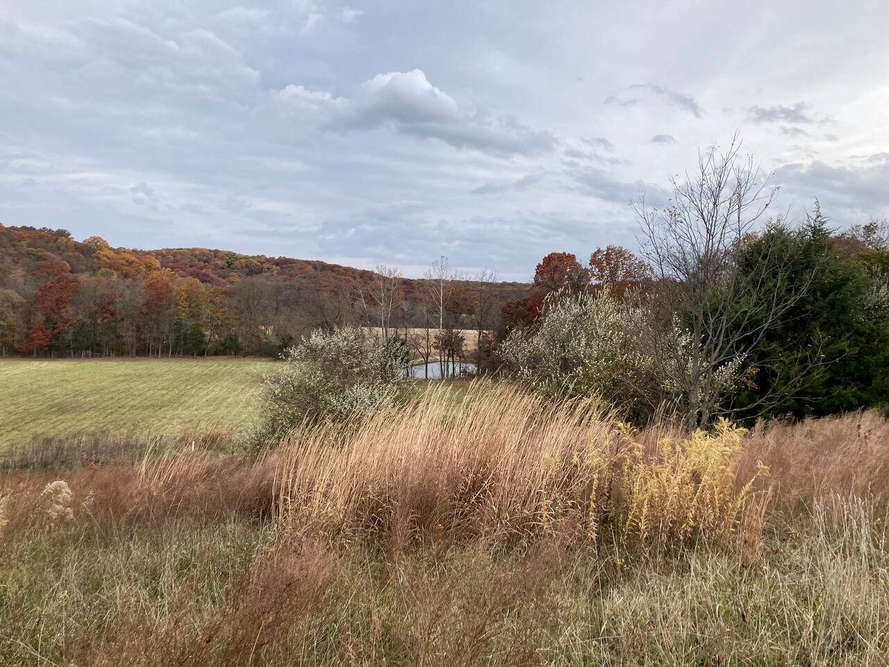 Beautiful Glamping Spot near Hartsburg, Missouri: Charming Pet-Friendly Cabin Perfect for a Family Vacation