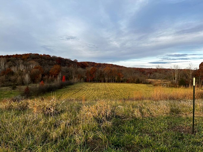Cabins (United States of America, Hartsburg, Missouri)