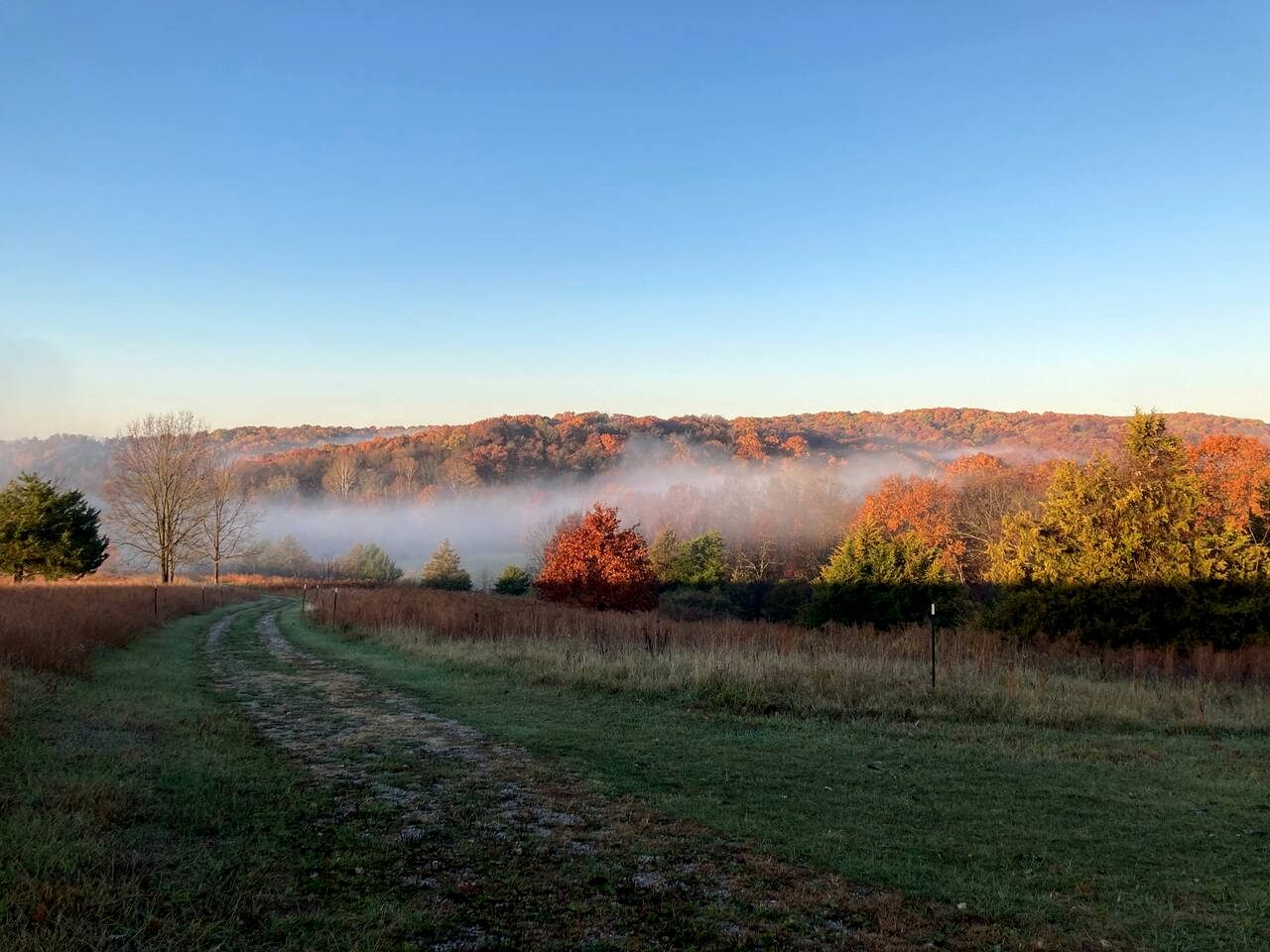 Beautiful Glamping Spot near Hartsburg, Missouri: Charming Pet-Friendly Cabin Perfect for a Family Vacation
