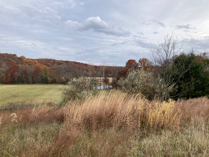 Cabins (United States of America, Hartsburg, Missouri)
