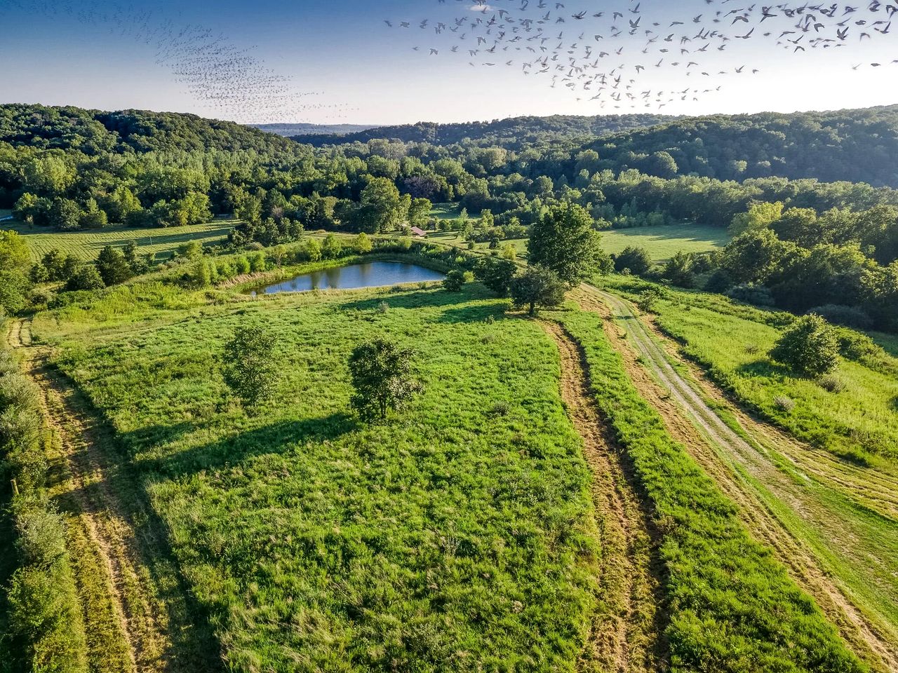 Beautiful Glamping Spot near Hartsburg, Missouri: Charming Pet-Friendly Cabin Perfect for a Family Vacation
