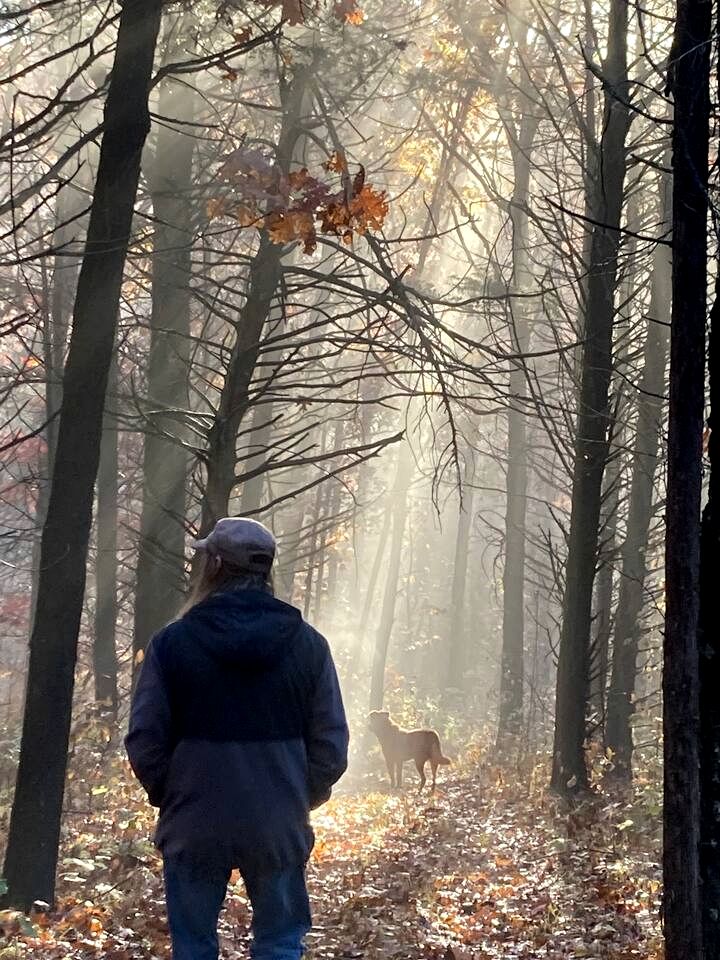 Beautiful Glamping Spot near Hartsburg, Missouri: Charming Pet-Friendly Cabin Perfect for a Family Vacation