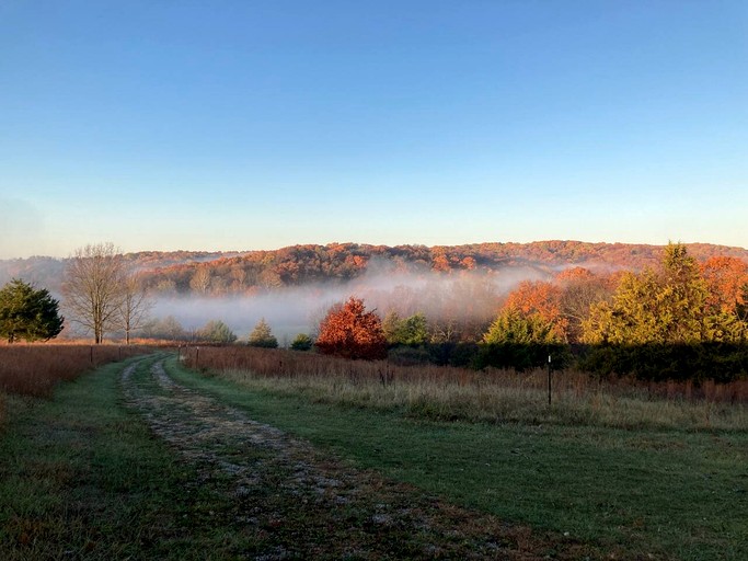 Cabins (United States of America, Hartsburg, Missouri)