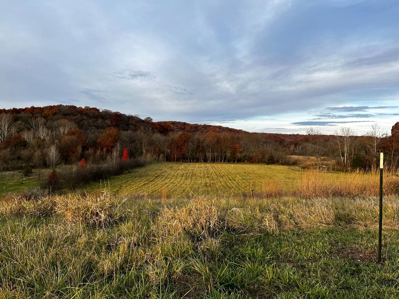 Beautiful Glamping Spot near Hartsburg, Missouri: Charming Pet-Friendly Cabin Perfect for a Family Vacation