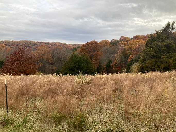 Cabins (United States of America, Hartsburg, Missouri)