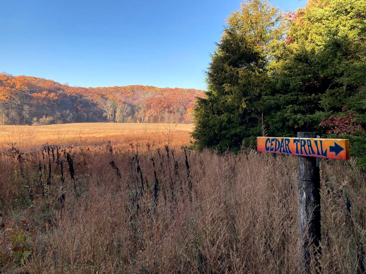 Beautiful Glamping Spot near Hartsburg, Missouri: Charming Pet-Friendly Cabin Perfect for a Family Vacation