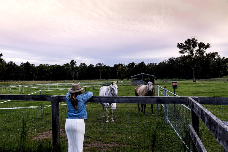 Tiny Houses (Australia, Minimbah, New South Wales)