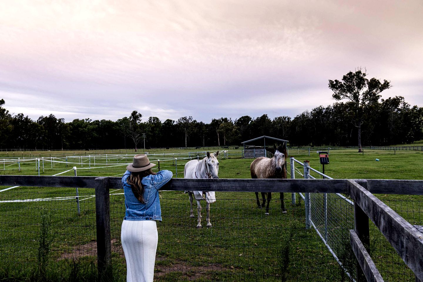 Beautiful Hilltop Tiny House with Breathtaking Views on a Cattle and Equine Training Property in Minimbah, New South Wales