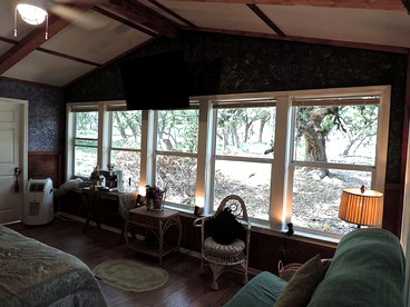 undefined photo 2