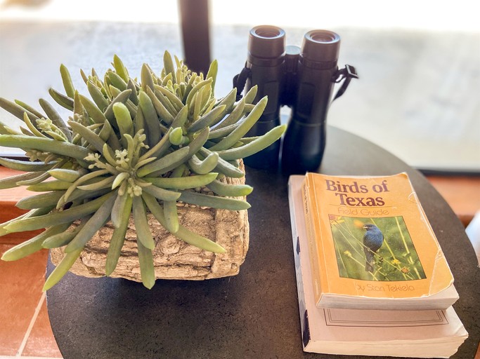 Cabins (United States of America, Ingram, Texas)