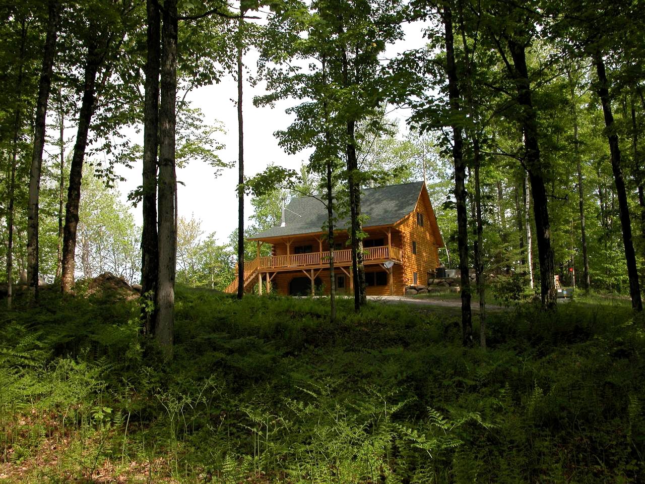 Cabin in Hardwick, Vermont