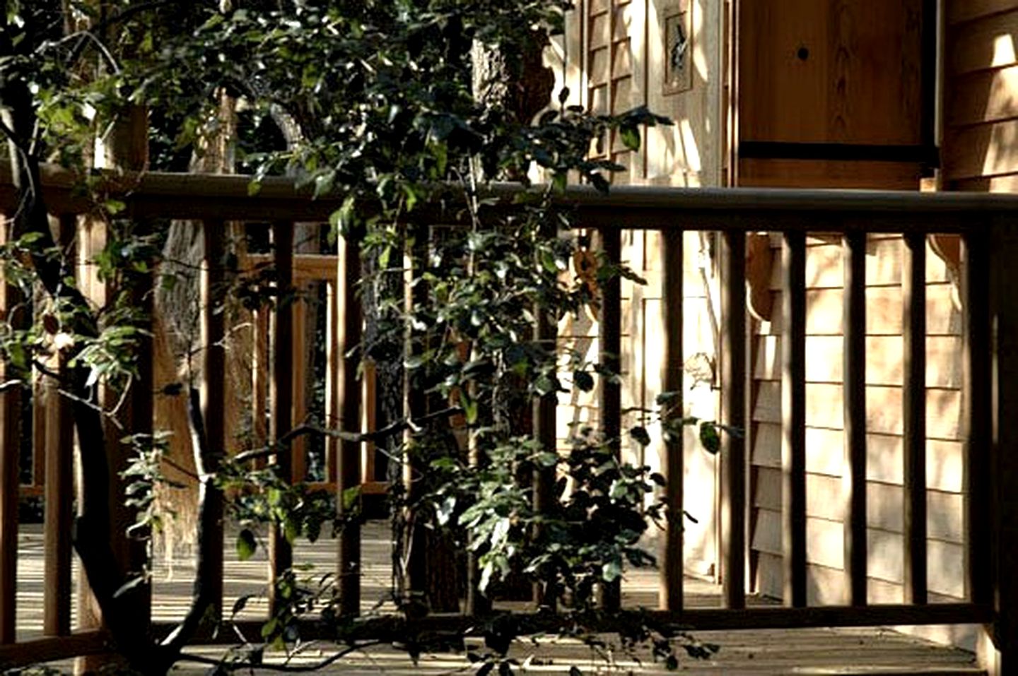 Beautiful, Luxurious Treehouses in Saint-Paul, France