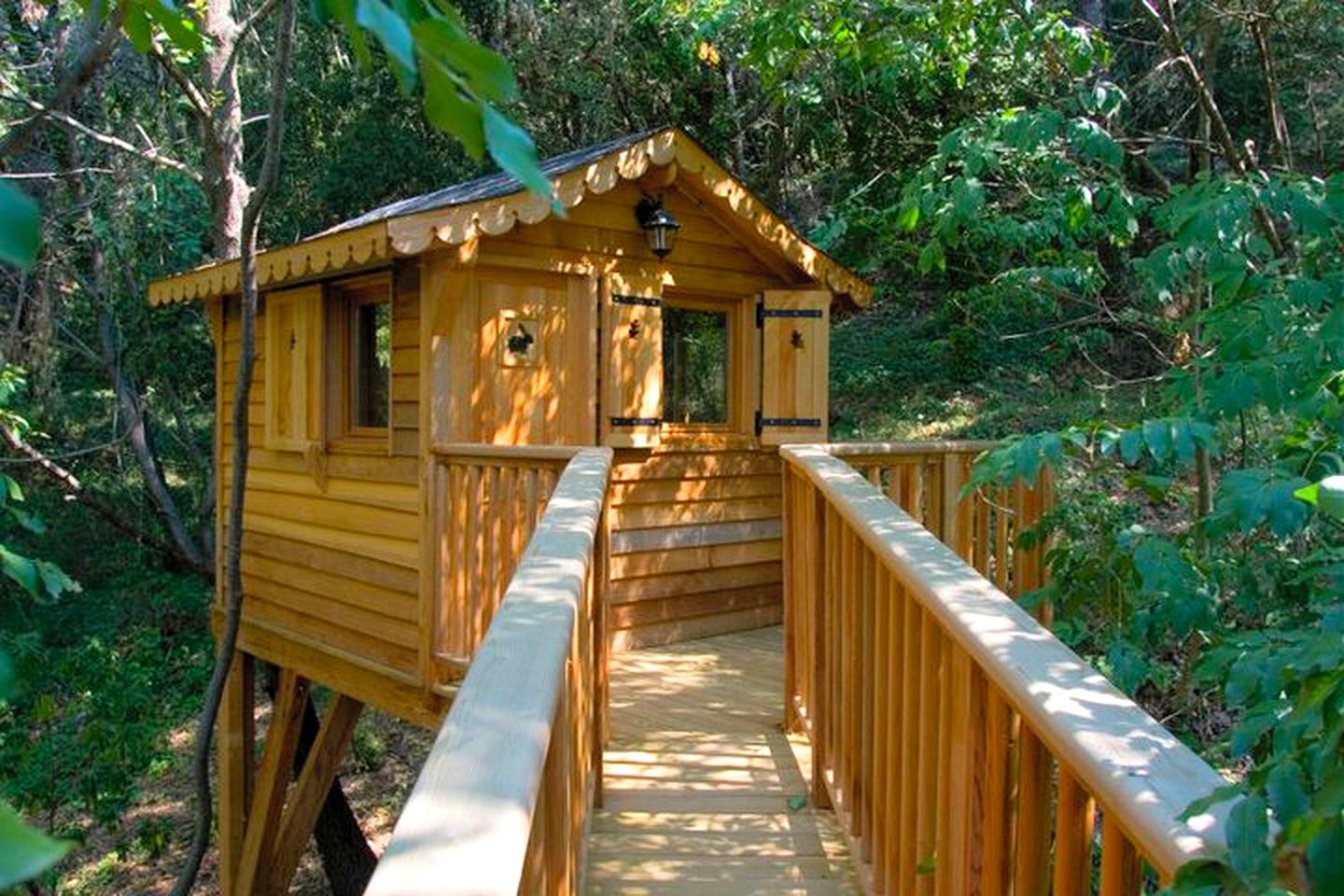 Beautiful, Luxurious Treehouses in Saint-Paul, France