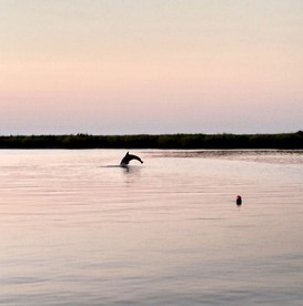 Lovely Three-Bedroom Cabin with Private Pier on Saint Simons Island, Georgia photo 5