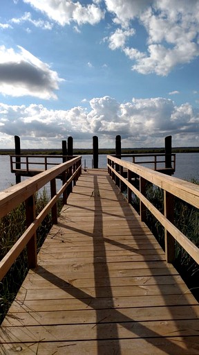 Cabins (Saint Simons Island, Georgia, United States)