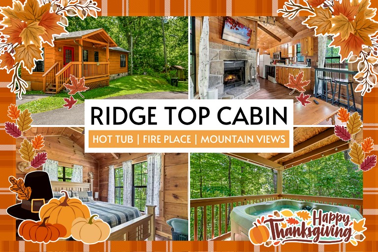 Cabins (United States of America, Sevierville, Tennessee)