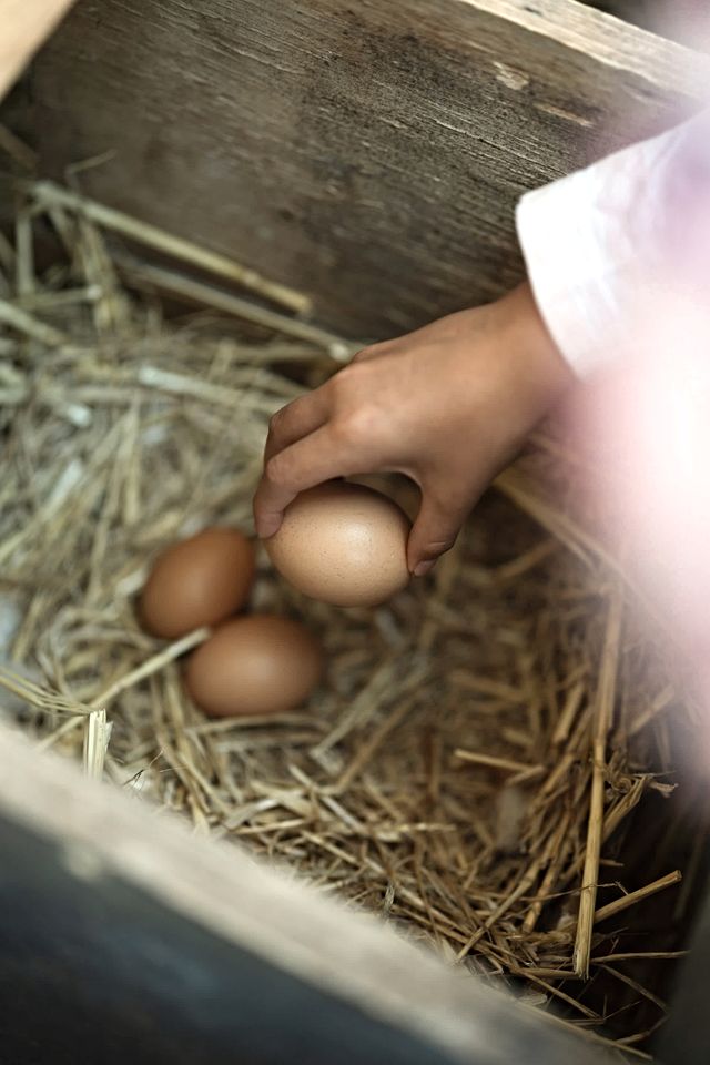 Beautiful Secluded Tiny House in West Kentish, Tasmania