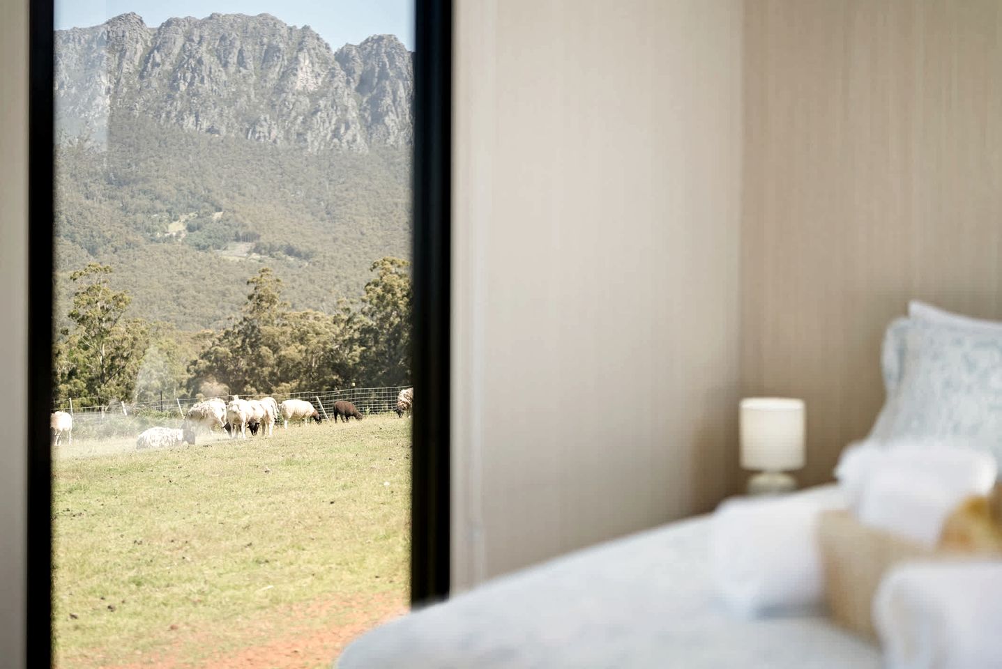 Beautiful Secluded Tiny House in West Kentish, Tasmania