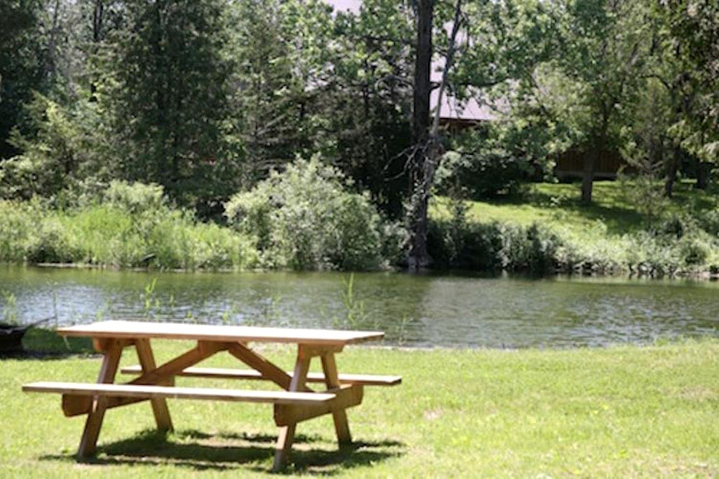 Beautiful Spacious Log Cabin Surrounded by Nature for a Peaceful Family Vacation in Prince Edward, Ontario