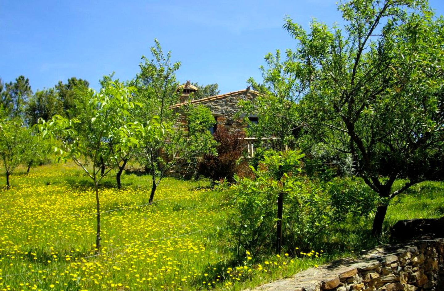 Beautiful Stone Cottage Rental with Swimming Pool Access in Extremadura, Spain