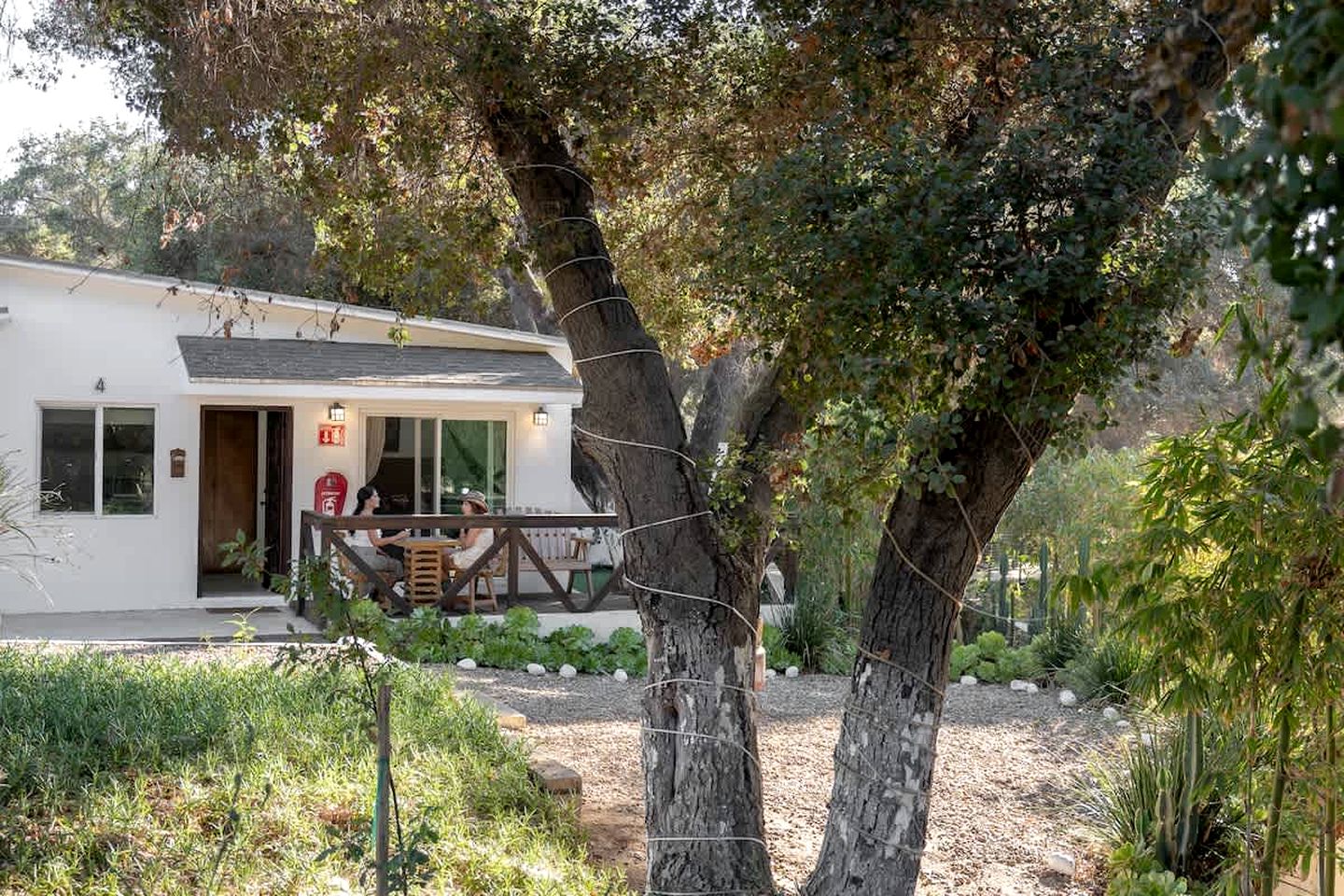 Charming Cozy Suite with Fire Pit & Hammocks in Baja California, Mexico