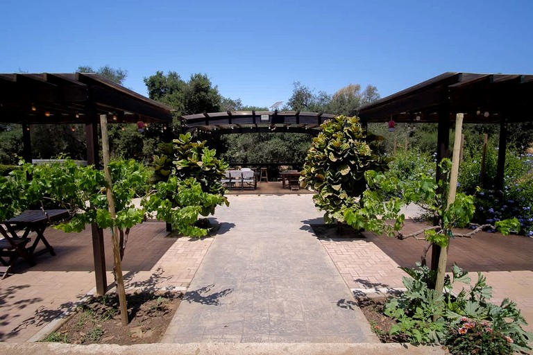 Huts (Mexico, Guadalupe, Baja California)
