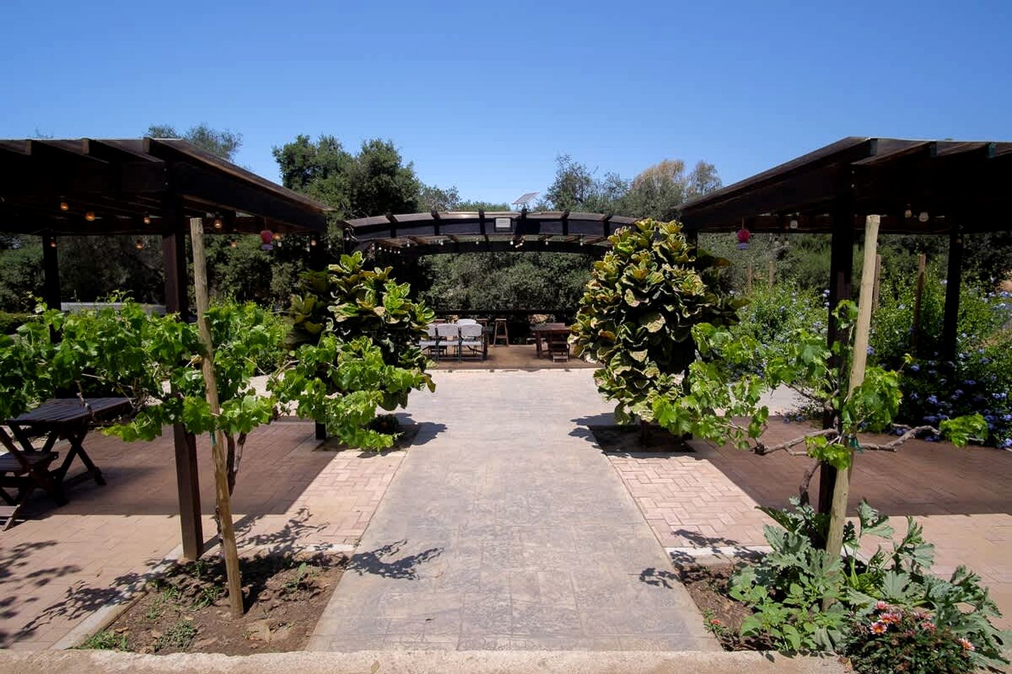 Charming Cozy Suite with Fire Pit & Hammocks in Baja California, Mexico
