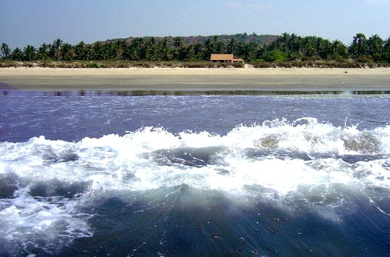 Safari Tents (Mandrem, Goa, India)