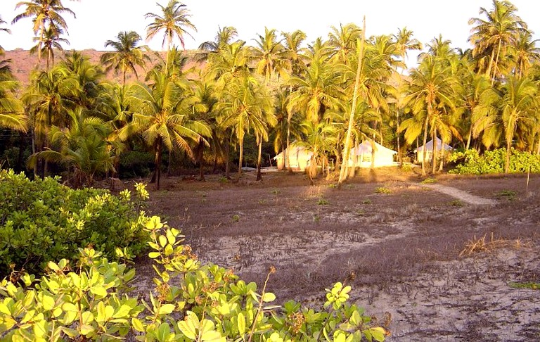 Safari Tents (Mandrem, Goa, India)