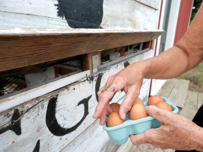 Cottages (United States of America, Fischer, Texas)