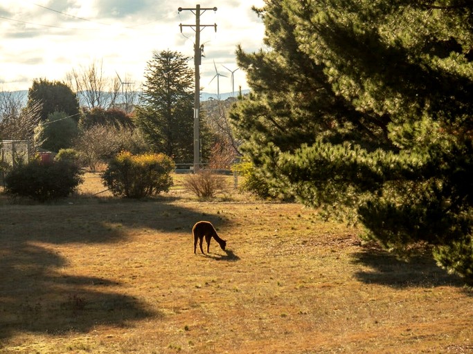 Tiny Houses (Australia, Bungendore, New South Wales)