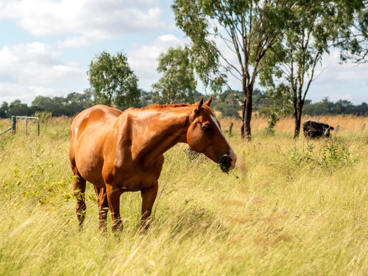 Beautiful Tiny House with Fantastic Vistas in Irongate, Queensland