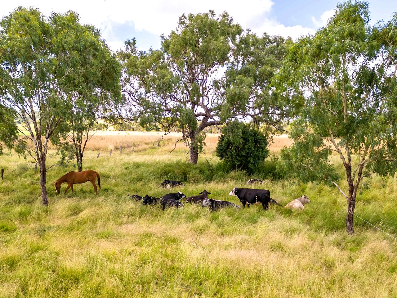 Beautiful Tiny House with Fantastic Vistas in Irongate, Queensland