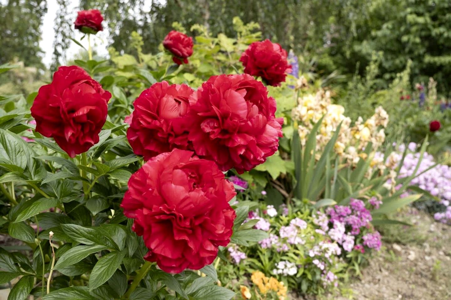 Beautiful Tiny House Loft Perfect for Fishing and Picnics in South Island, New Zealand
