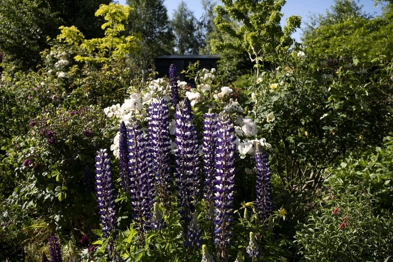 Tiny Houses (New Zealand, Roxburgh, South Island)