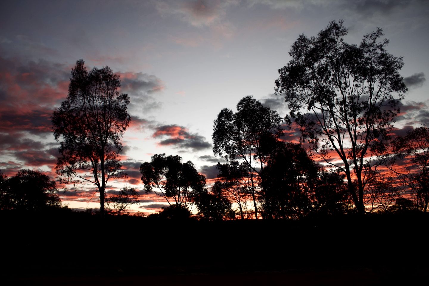 Beautiful Tiny House Near Turquoise Waters and Outdoor Living in Western Australia, Australia