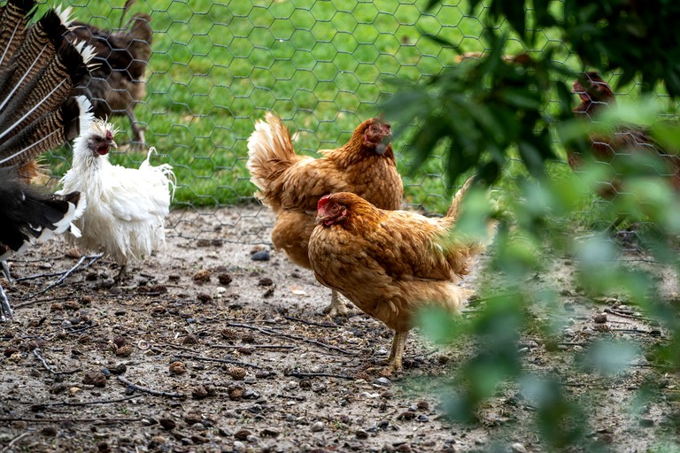 Tiny Houses (Australia, Lake Charm, Victoria)