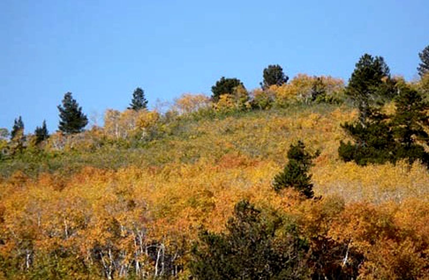 Beautiful Tipis and Horseback Riding at Scenic Ranch in Wyoming