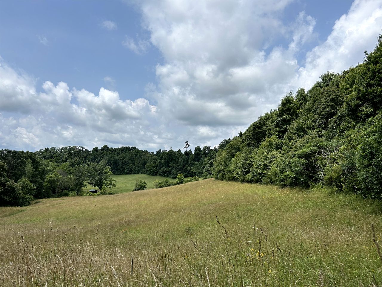 16 Guests | Ponds | Hot Tub | Game Room | Trails in Sarahsville