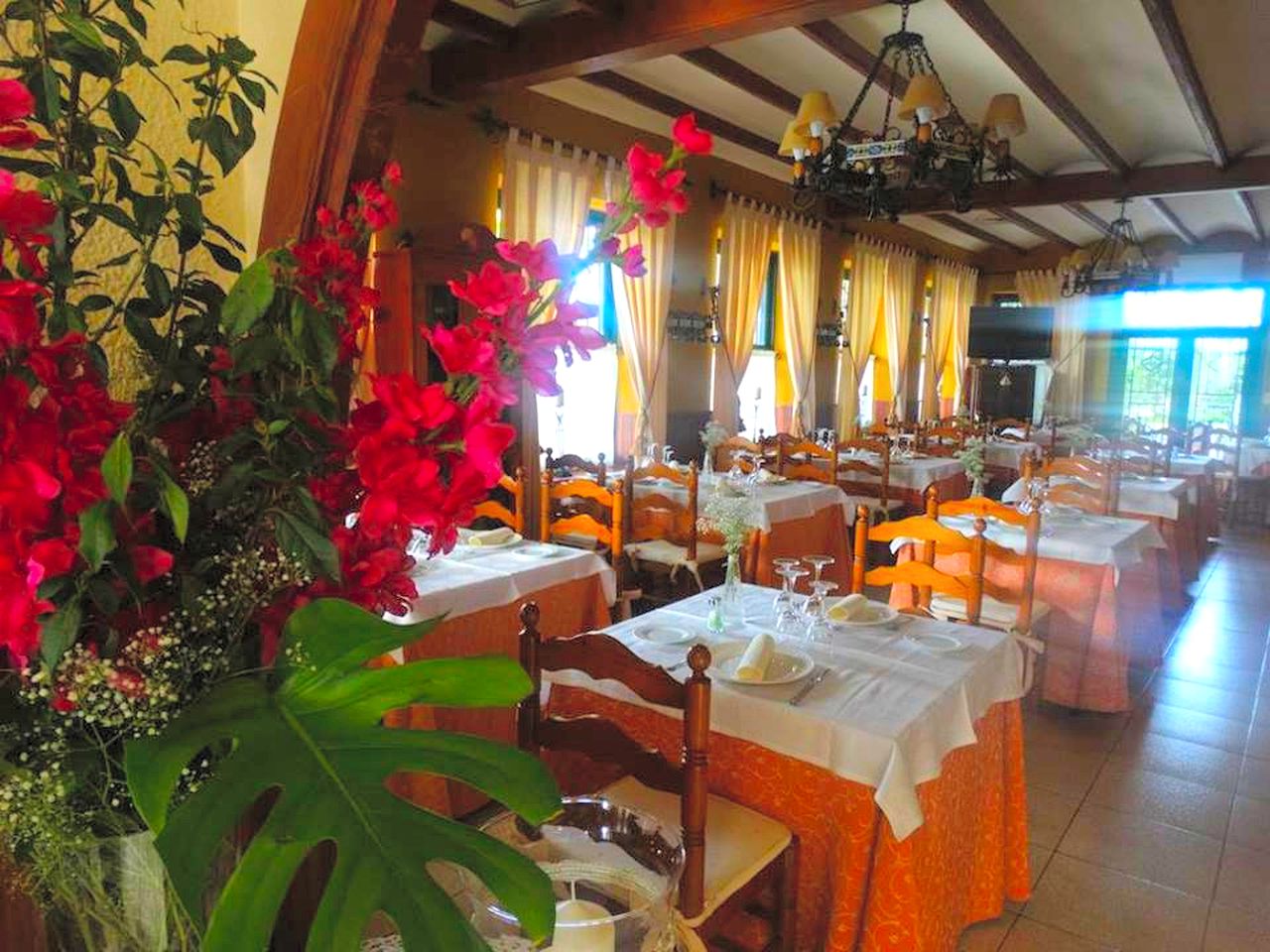 Charming Cabin Rental on a Family-Friendly Holiday Resort near Alicante, Spain