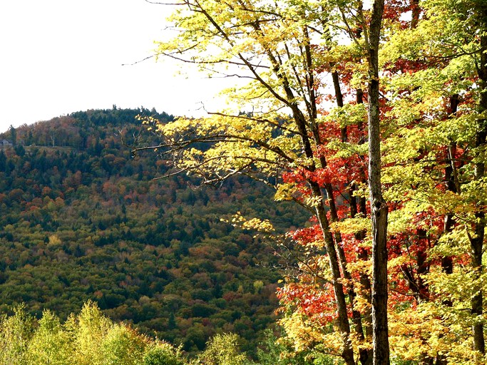 Cabins (Newfane, Vermont, United States)