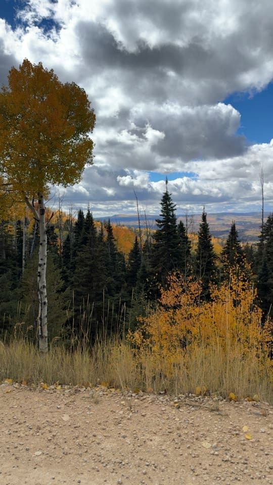 Spacious Family-Friendly Cabin with Pet-Friendly Dog Run & Supercharger Near Bryce Canyon, Alton, UT