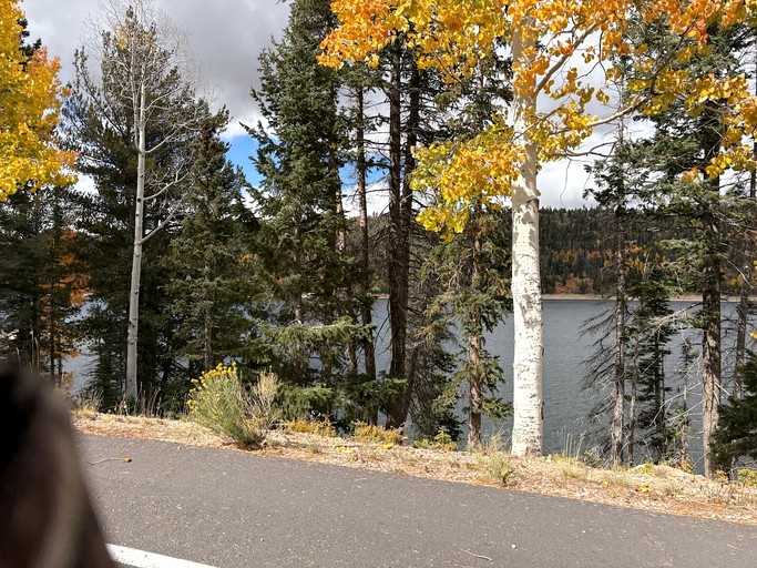 Cabins (United States of America, Alton, Utah)