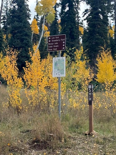 Cabins (United States of America, Alton, Utah)