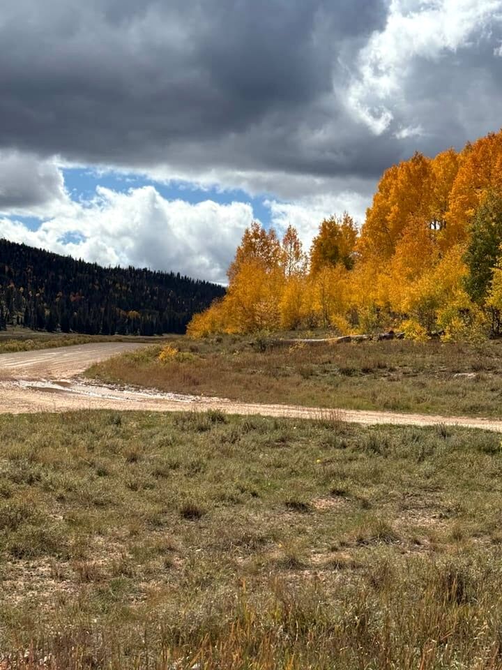 Spacious Family-Friendly Cabin with Pet-Friendly Dog Run & Supercharger Near Bryce Canyon, Alton, UT