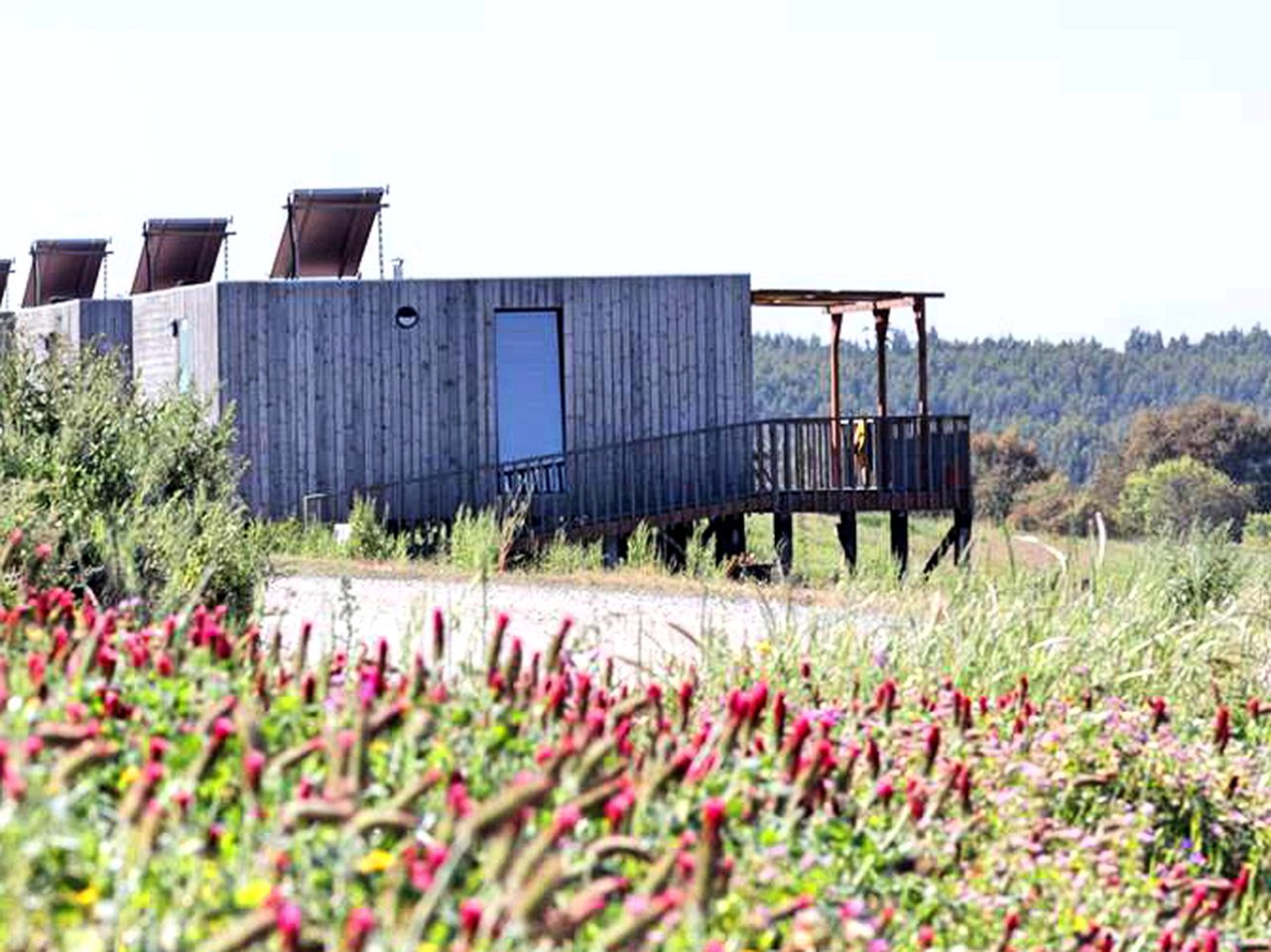 Beautiful Tiny House near Zambujeira do Mar Beach, Portugal