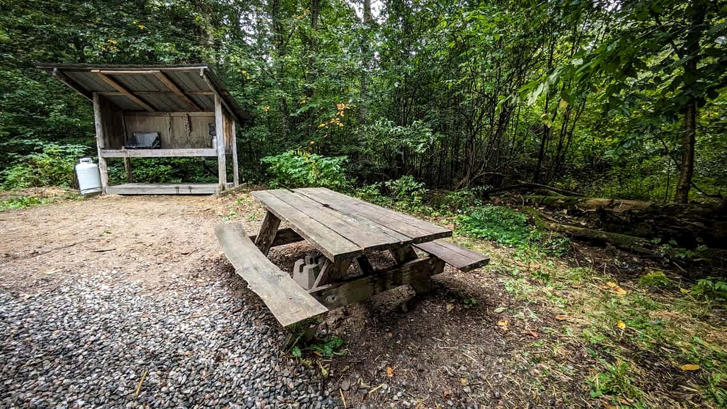 Beautiful Wooden Cabin Nestled in the Trees for a Peaceful Escape in Nature in Harrington, Quebec