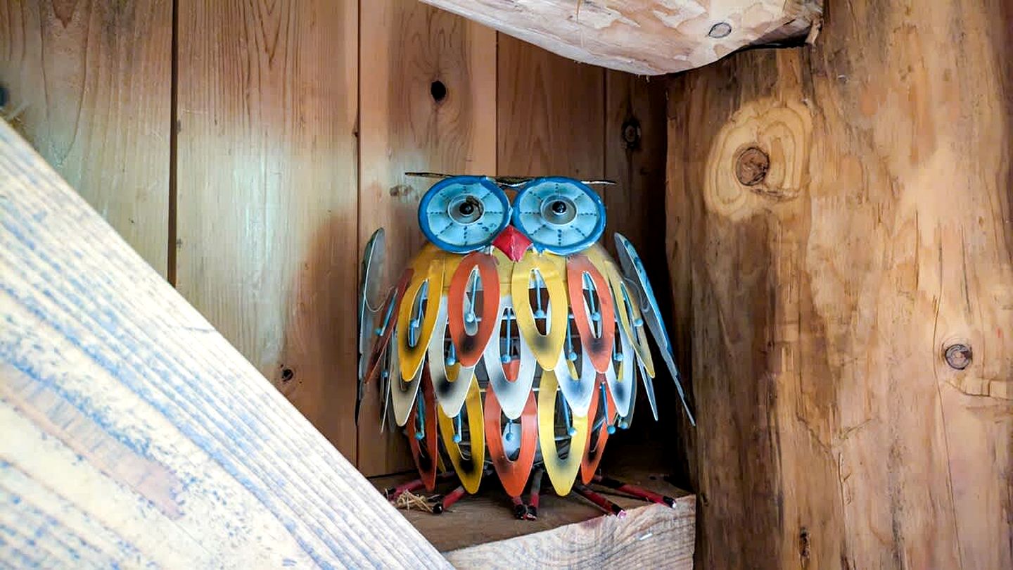 Beautiful Wooden Cabin Nestled in the Trees for a Peaceful Escape in Nature in Harrington, Quebec